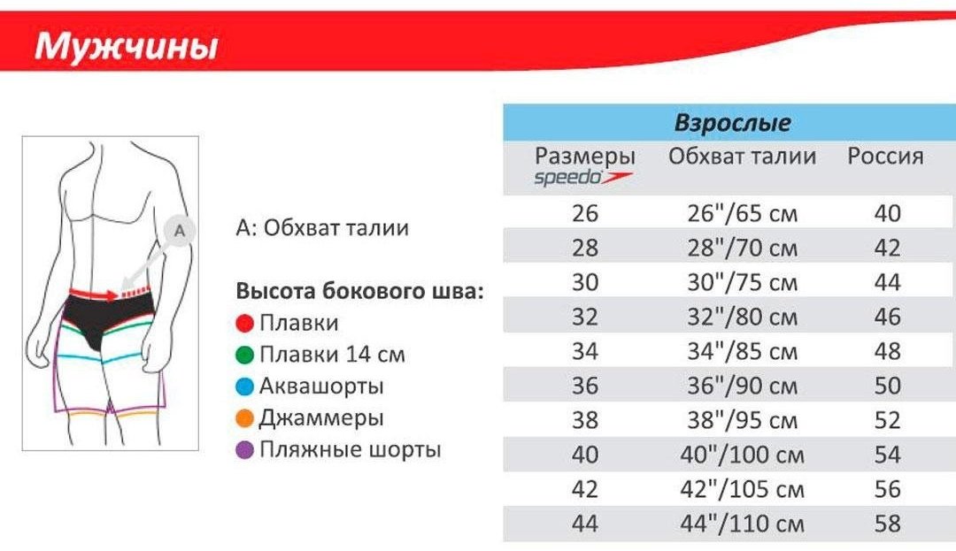 Плавки Speedo синий купить,0