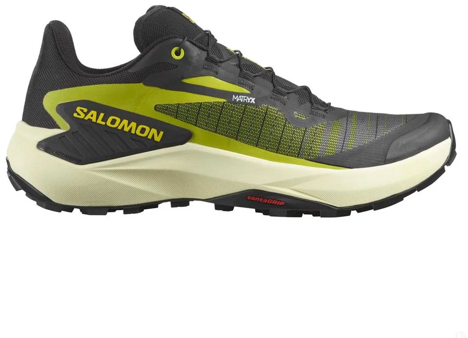 Треккинговые кроссовки Salomon черный купить,89900