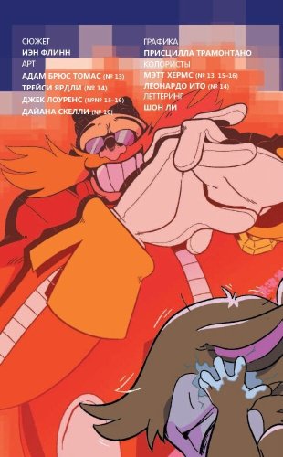 Книга Флинн Й.: Sonic. Заражение. Выпуск 4 (перевод от Diamond Dust и Сыендука) купить,NaN