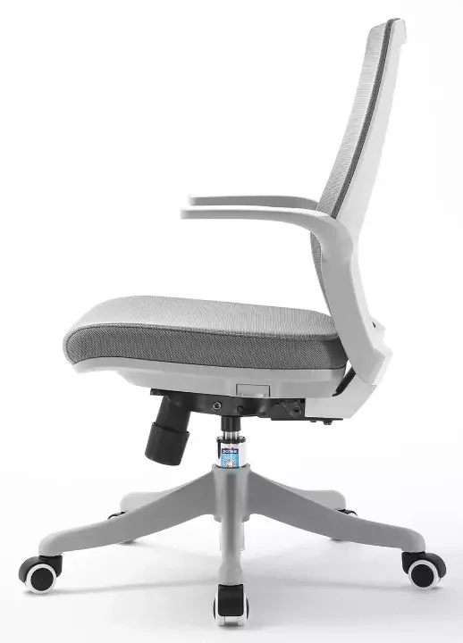 Офисное кресло Sihoo M59B-201 Grey - ForteMarket Офисное кресло Sihoo M59B-201 Grey купить,0