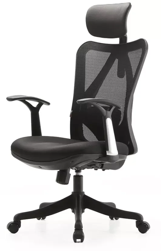 Офисное кресло Sihoo M16-201 Black - ForteMarket Офисное кресло Sihoo M16-201 Black купить,0