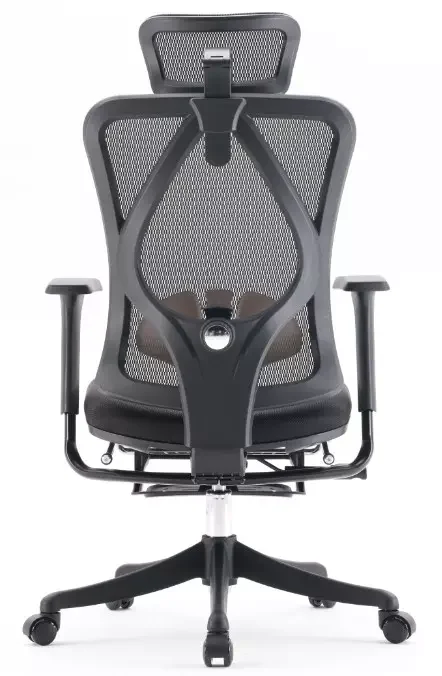 Офисное кресло Sihoo M18C-JT-101 Black - ForteMarket Офисное кресло Sihoo M18C-JT-101 Black купить,0
