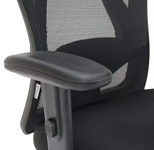 Офисное кресло Sihoo M18-031 Black - ForteMarket Офисное кресло Sihoo M18-031 Black купить,0