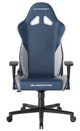 Кресло игровое DX Racer GC/GN23/BW GC/LGN23LTC/BW Blue White