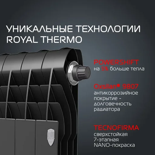 Радиатор биметаллический Royal Thermo BiLiner 350/Noir Sable 10 секций черный