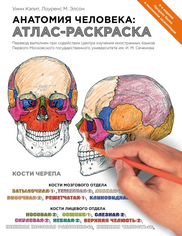 Рисование Кэпит У., Элсон Л. М. Анатомия человека: атлас-раскраска купить,NaN