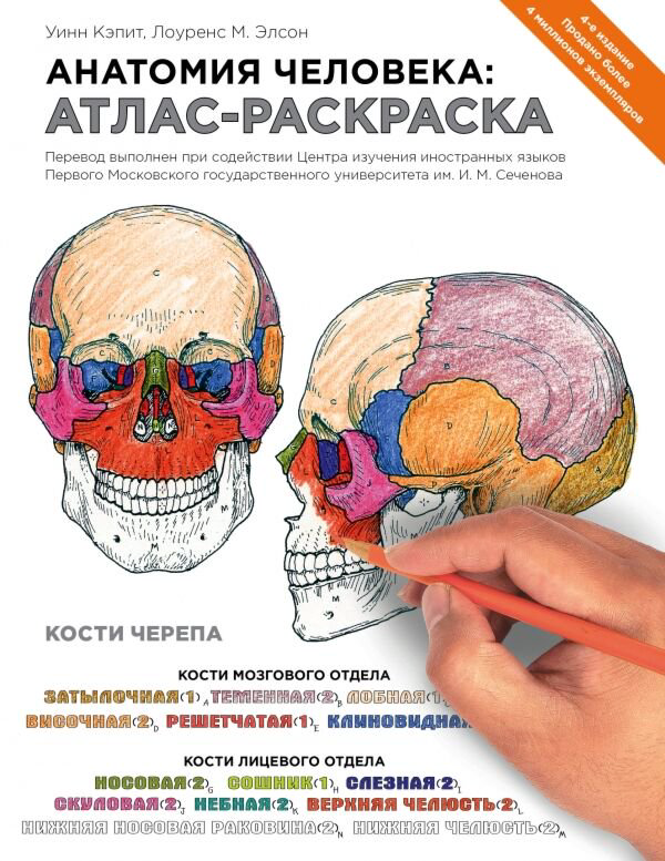 Рисование Кэпит У., Элсон Л. М. Анатомия человека: атлас-раскраска купить,NaN