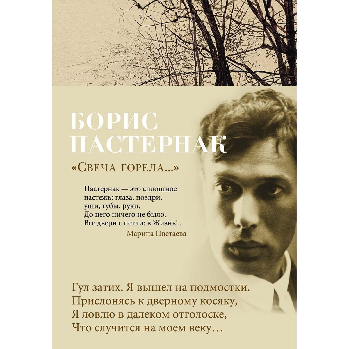 Поэзия Пастернак Б.Л. Свеча горела… купить,NaN