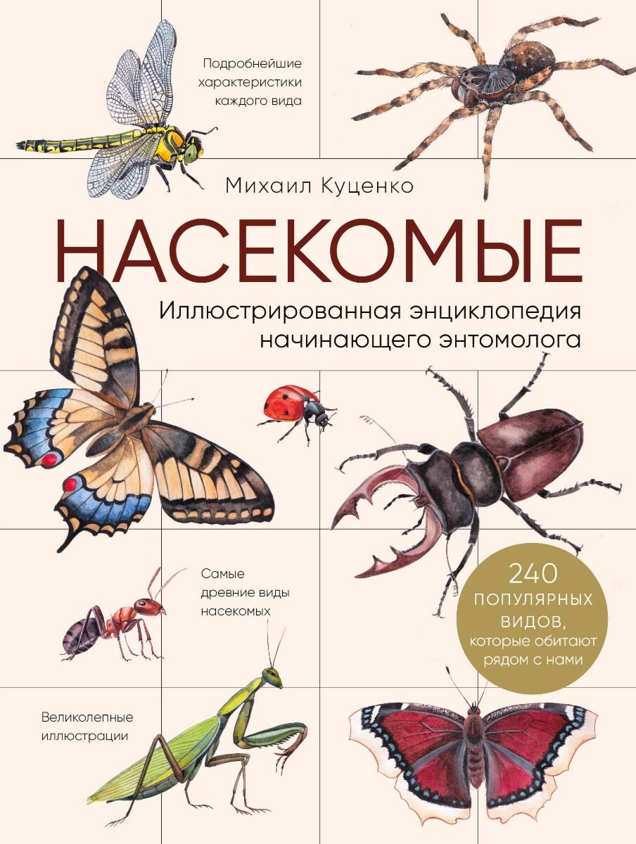 Энциклопедии Куценко М. Насекомые Иллюстрированная энциклопедия начинающего энтомолога 240 популярных видов, которые обитают рядом с нами купить,NaN