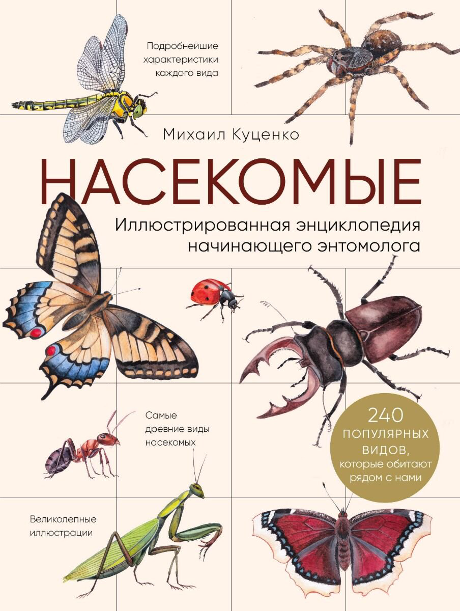 Энциклопедии Куценко М. Насекомые Иллюстрированная энциклопедия начинающего энтомолога 240 популярных видов, которые обитают рядом с нами купить,NaN