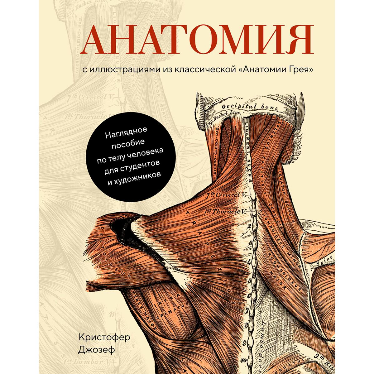 Здоровье Джозеф К.: Анатомия: С иллюстрациями из классической «Анатомии Грея» купить,NaN