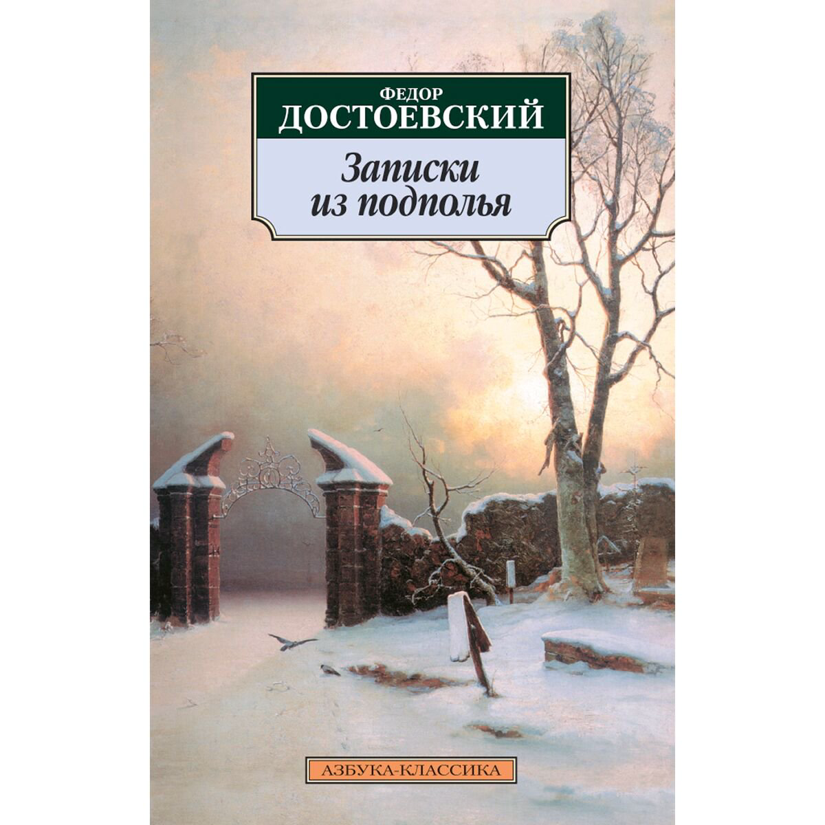 Русская классика Достоевский Ф. М.: Записки из подполья. Азбука-Классика купить,NaN