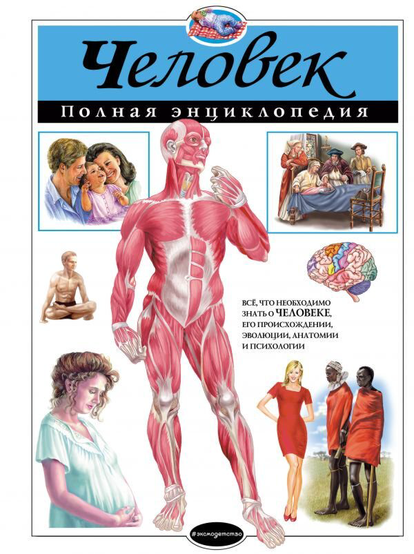 Энциклопедия Школьник Ю. К.: Человек. Полная энциклопедия купить,NaN