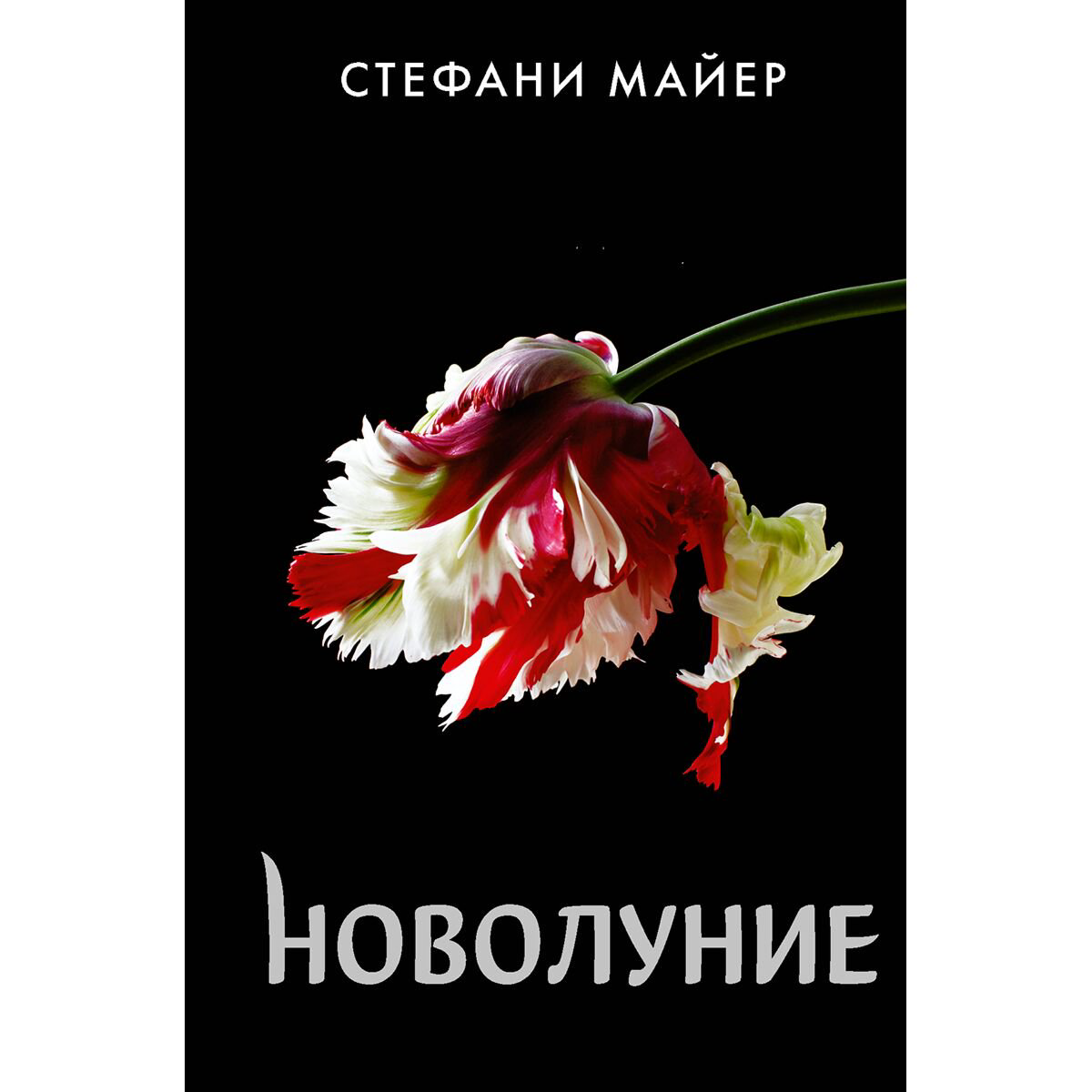 Young adult Майер С. Новолуние купить,NaN