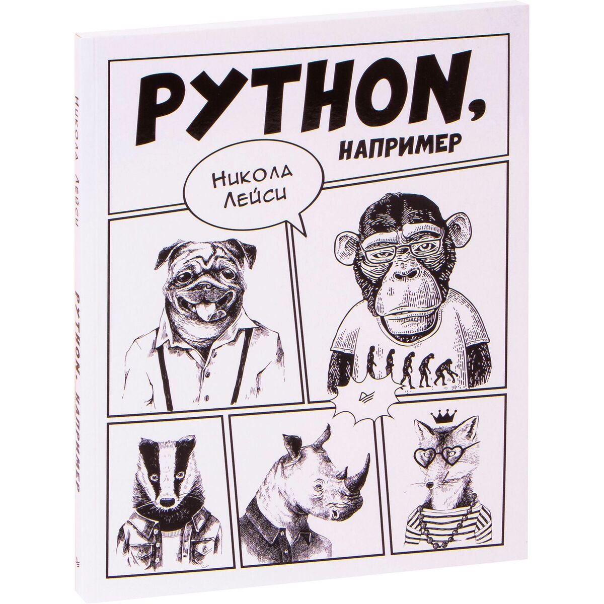 IT Лейси Н. Python, например купить,NaN