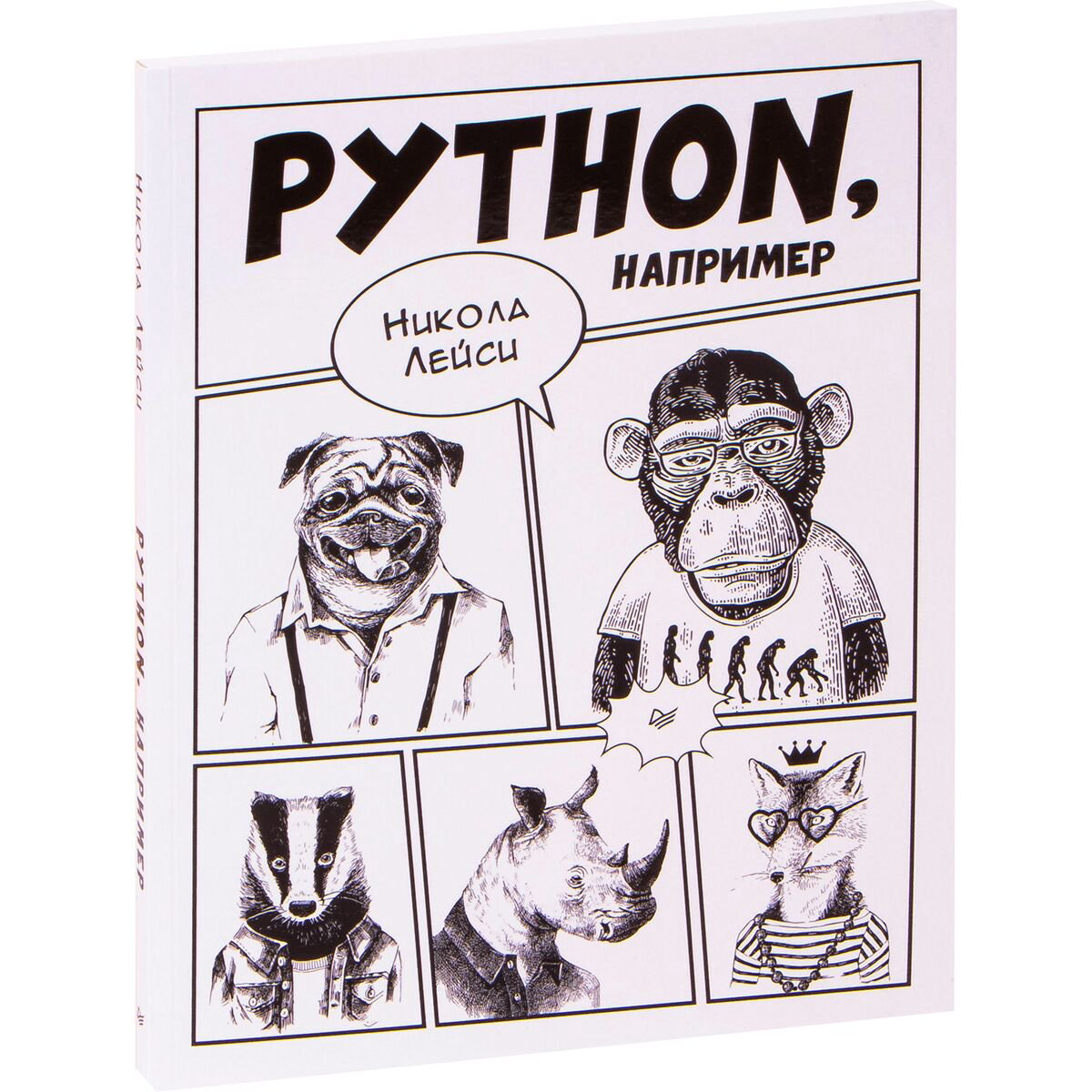 IT Лейси Н. Python, например купить,NaN