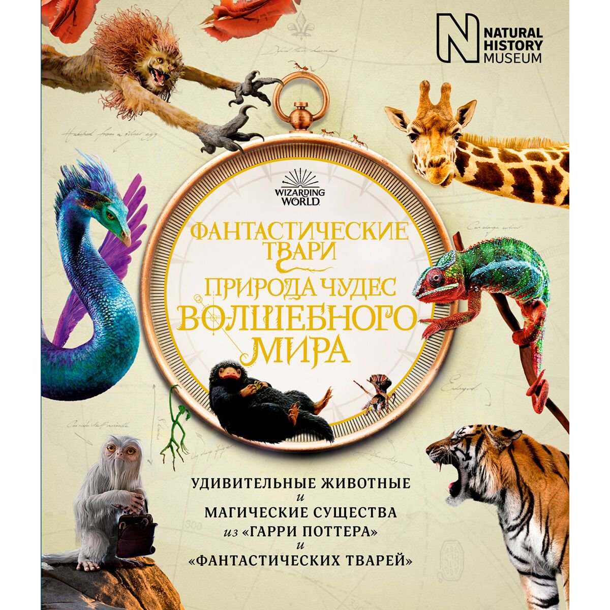 Детский нон-фикшн Фантастические твари. Природа чудес волшебного мира (Гарри Поттер) купить,NaN