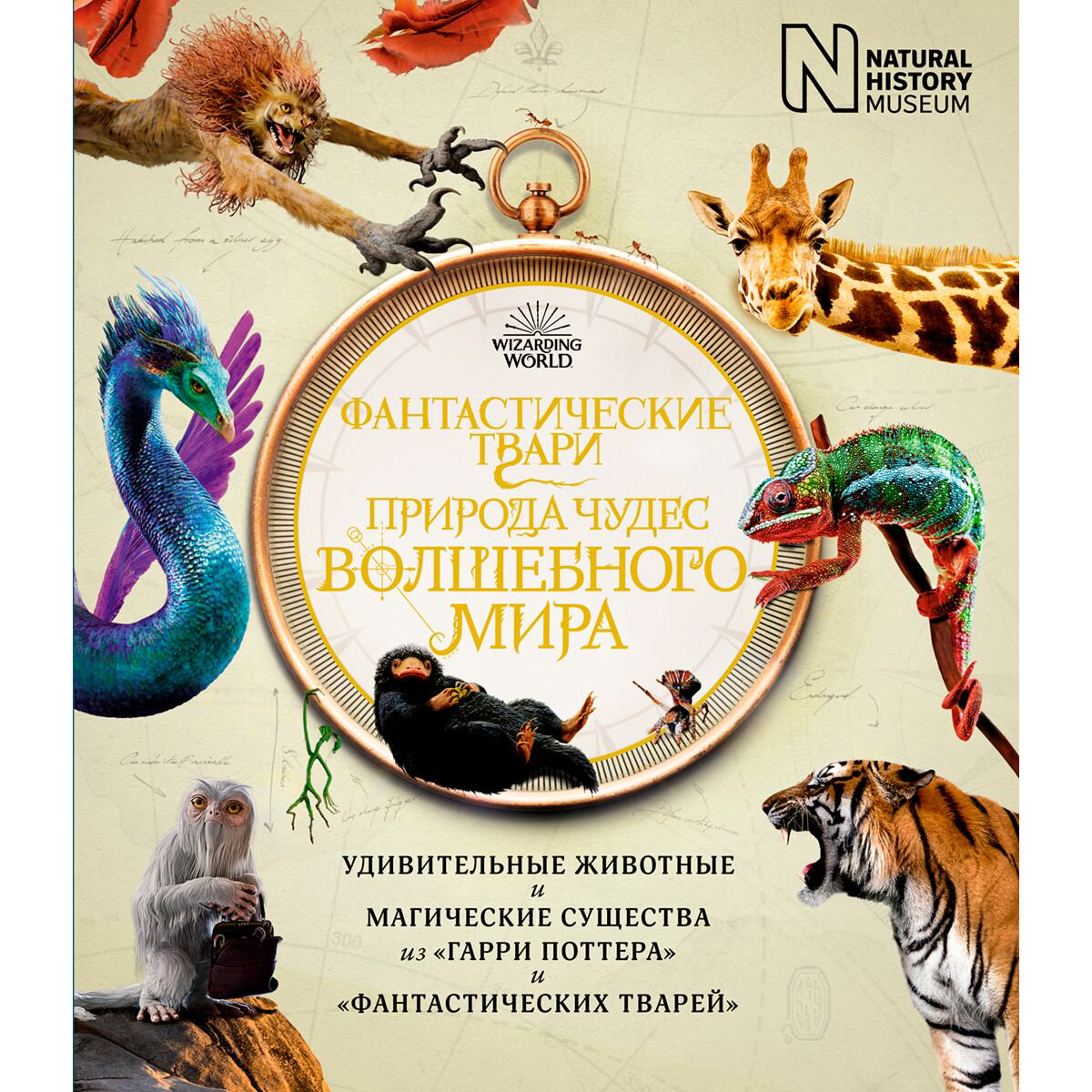 Детский нон-фикшн Фантастические твари. Природа чудес волшебного мира (Гарри Поттер) купить,NaN