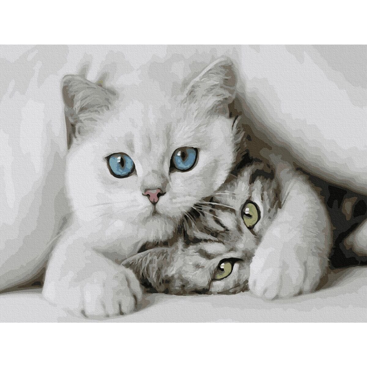 Картина по номерам Molly Милые котята 30х40 20 цветов купить,NaN