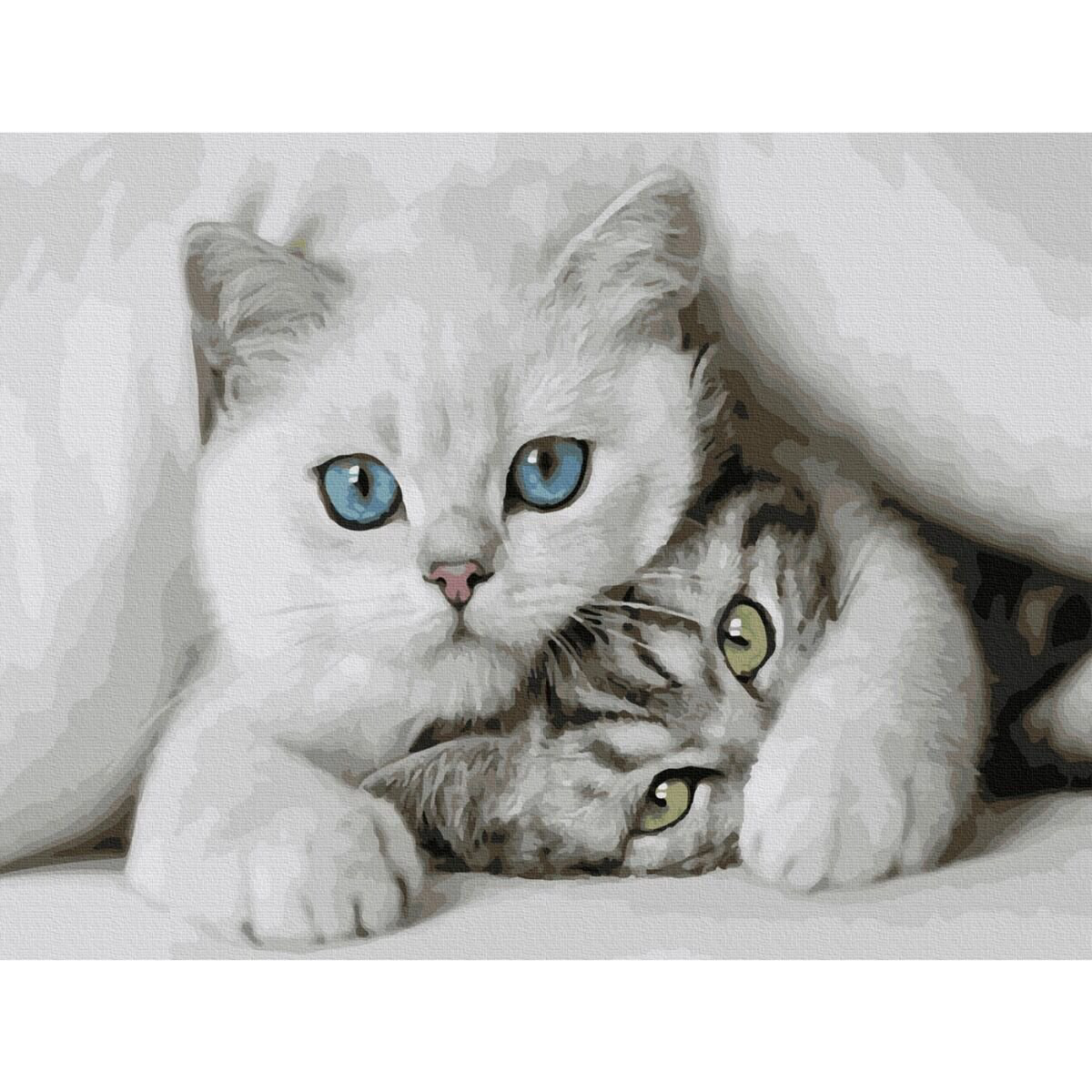 Картина по номерам Molly Милые котята 30х40 20 цветов купить,NaN