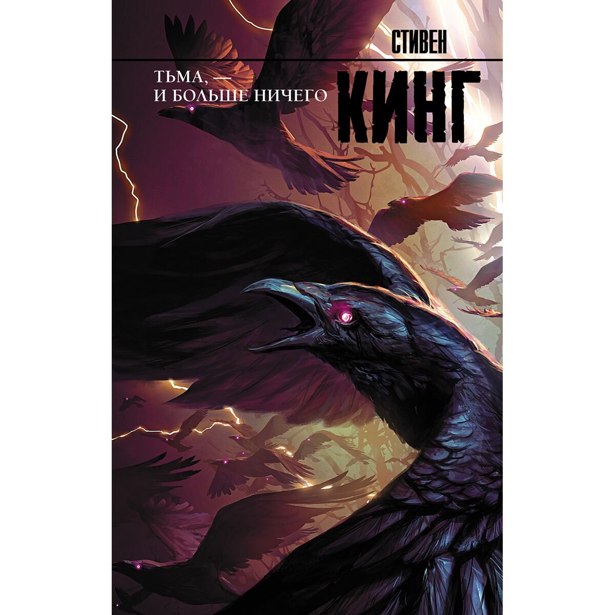 Фантастика Кинг С. Тьма, - и больше ничего купить,NaN