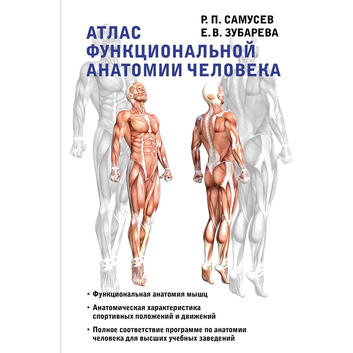 Здоровье Самусев Р. П., Зубарева Е. В. Атлас функциональной анатомии человека купить,NaN