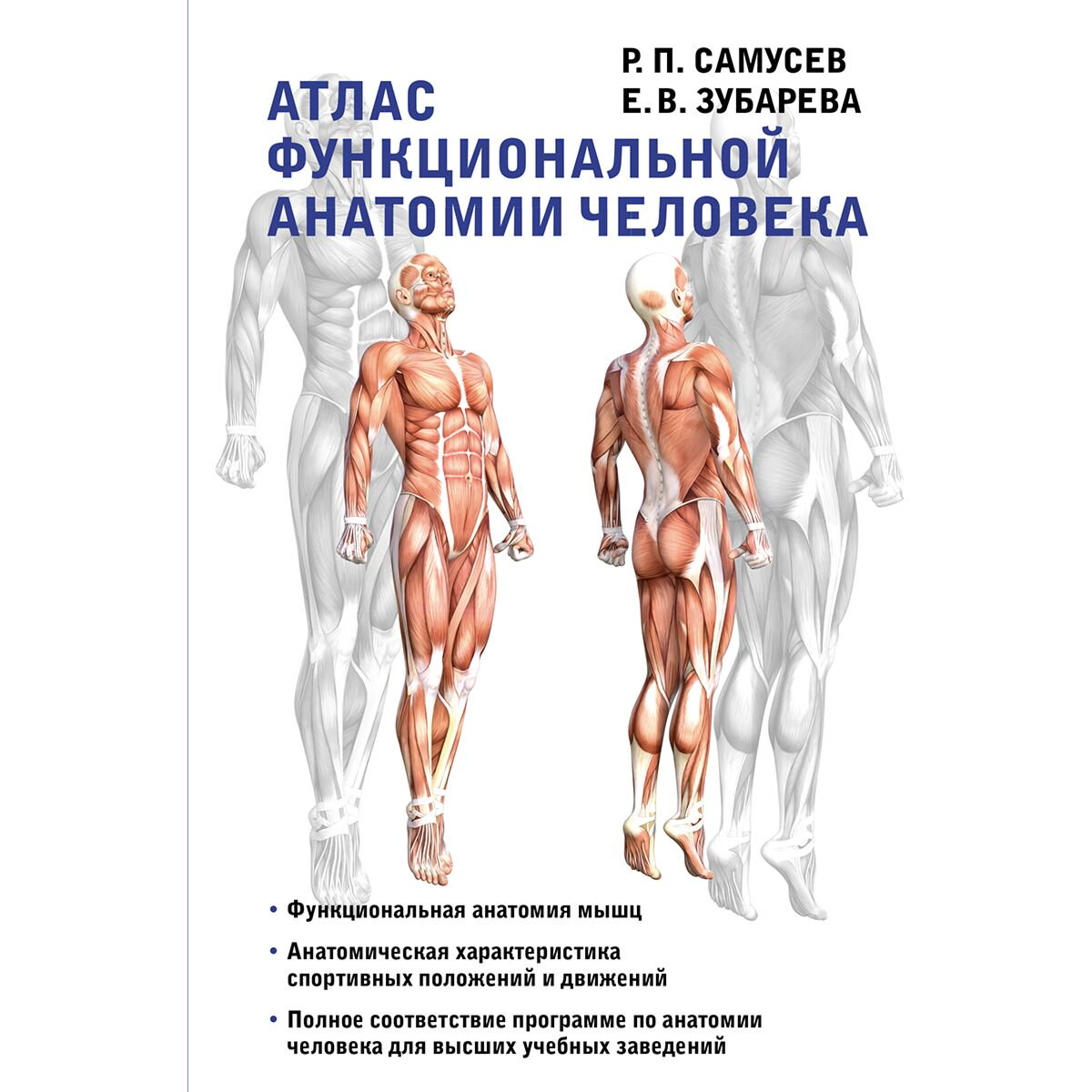 Здоровье Самусев Р. П., Зубарева Е. В. Атлас функциональной анатомии человека купить,NaN