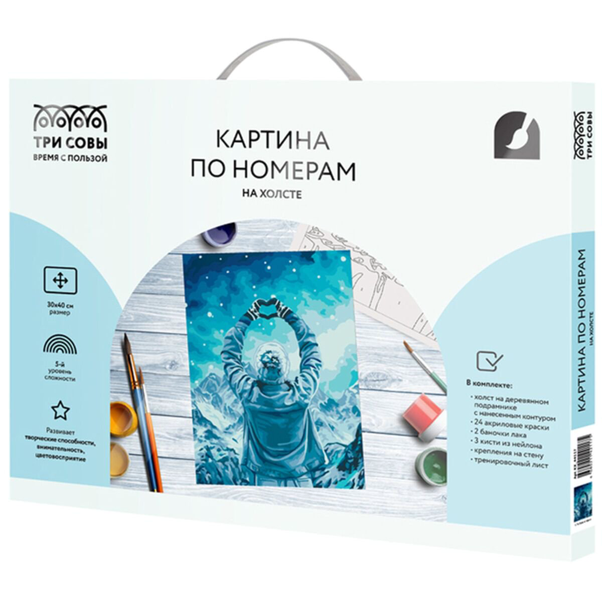 Картина по номерам Три Совы Любовь и горы 30х40 купить,NaN