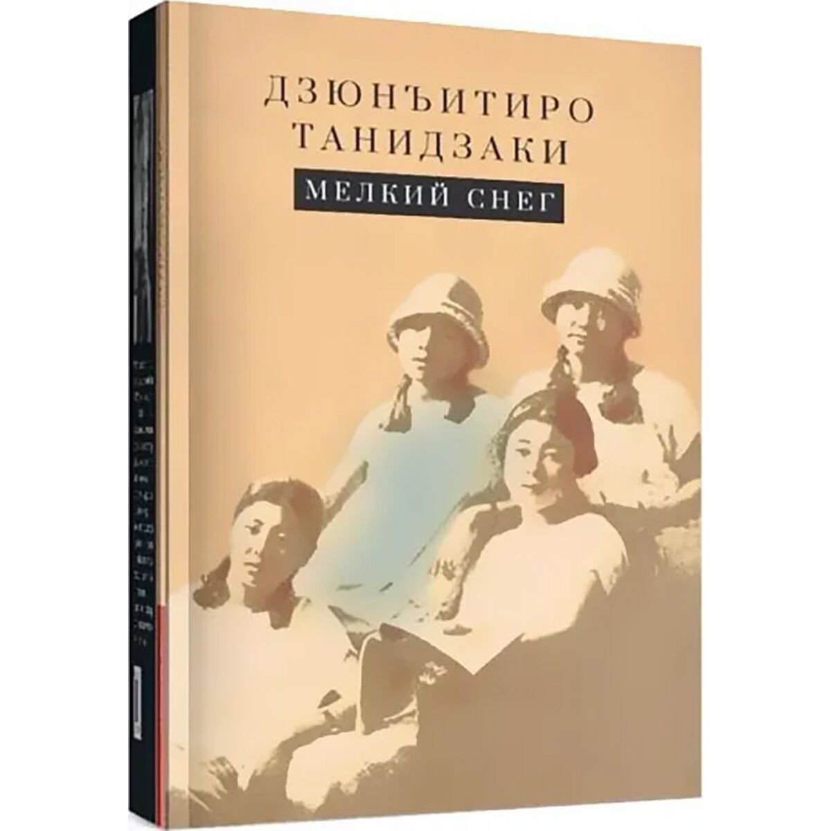 Всемирная классика Танидзаки Д. Мелкий снег купить,NaN