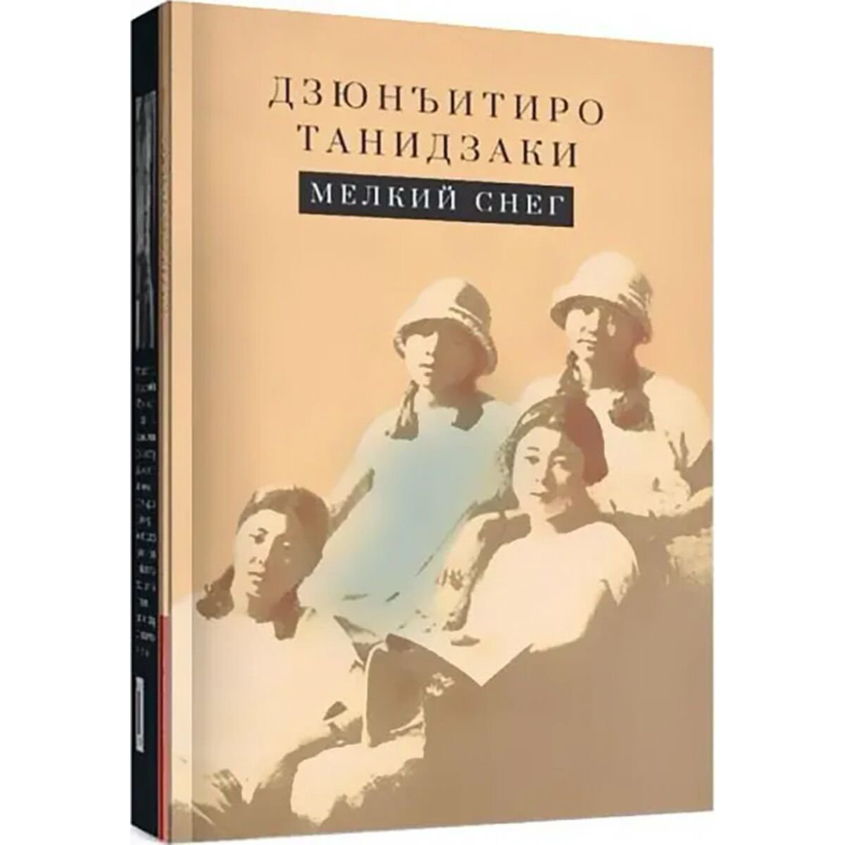 Всемирная классика Танидзаки Д. Мелкий снег купить,NaN