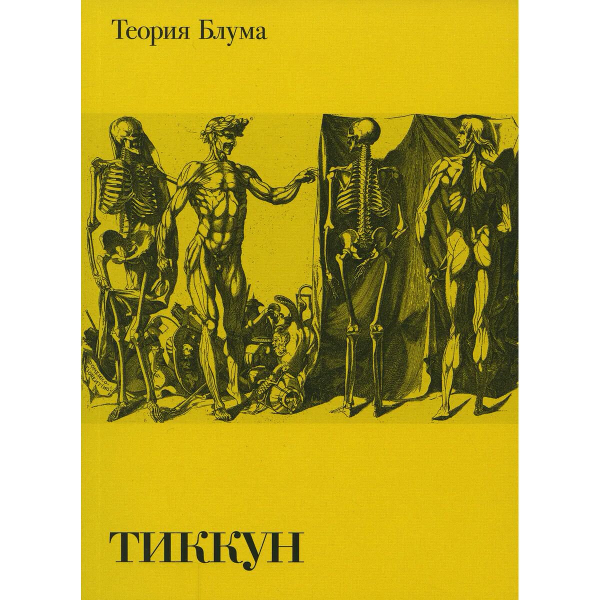 Философия Тиккун Теория блума купить,NaN