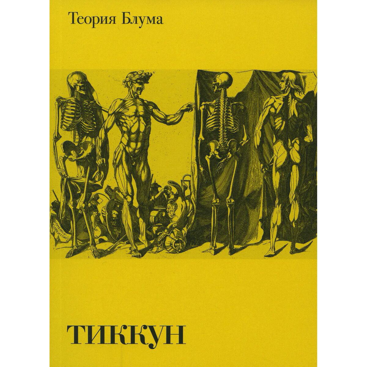 Философия Тиккун Теория блума купить,NaN