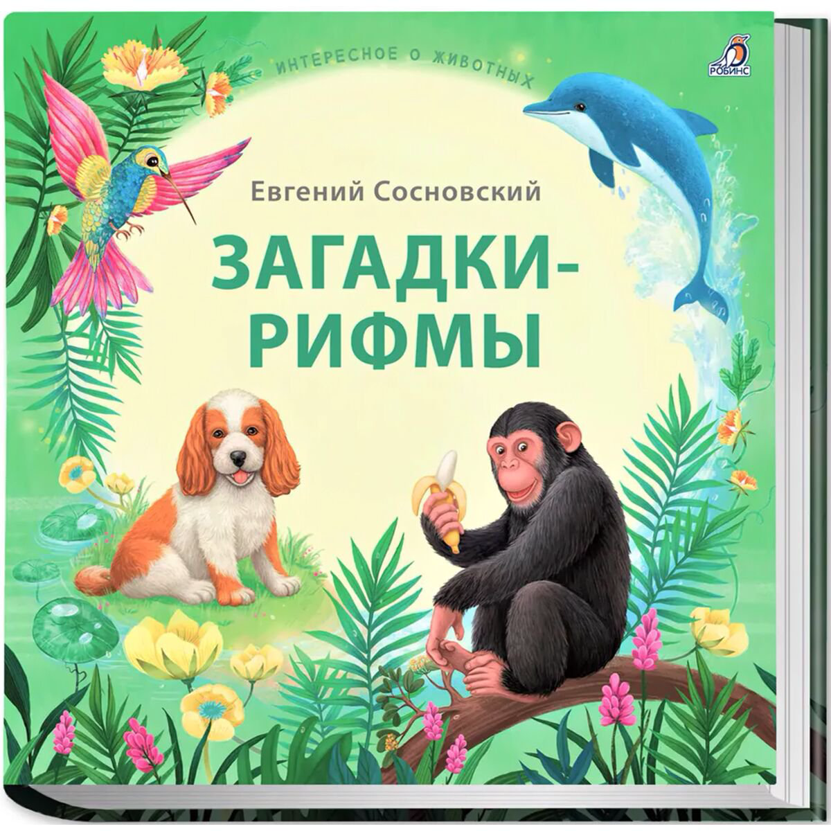 Для дошкольников, книги на картоне Загадки - рифмы. Подарочное издание купить,NaN