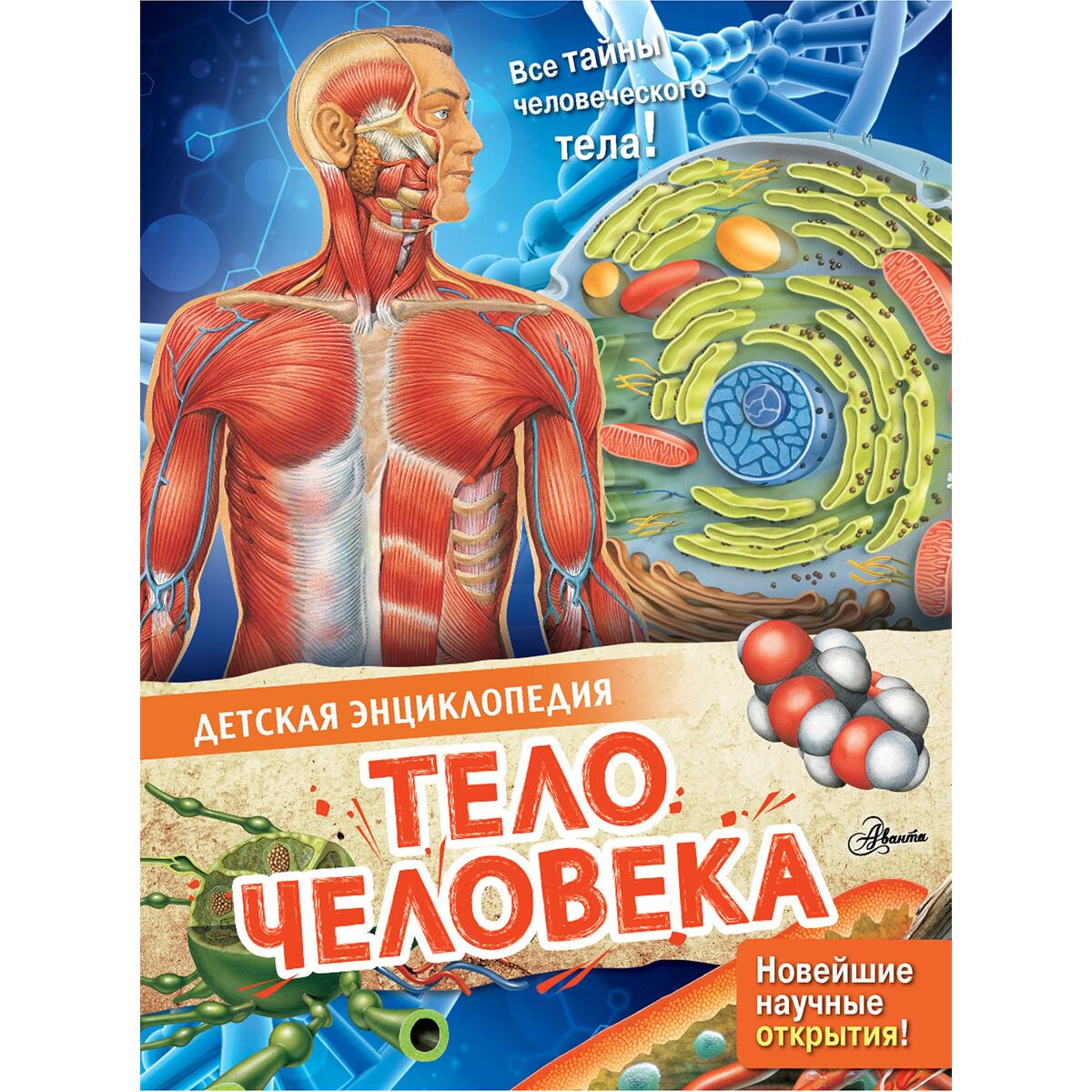 Энциклопедии МакРей Э.: Тело человека купить,NaN