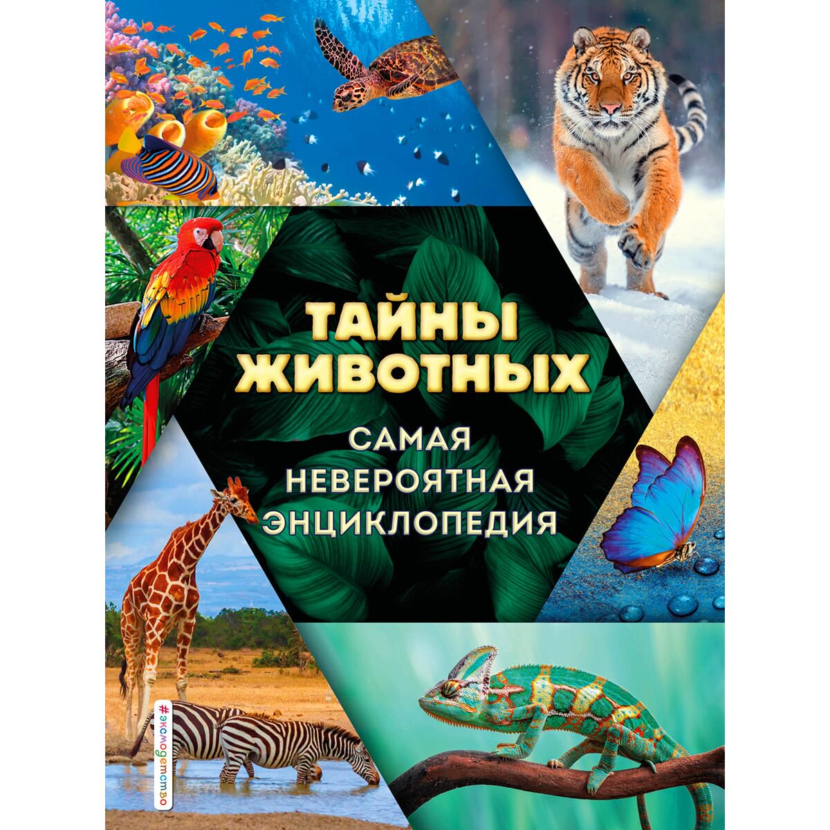 Энциклопедии Лукашанец Д. А., Мазур О. Ч., Ивинская С. С.: Тайны животных. Самая невероятная энциклопедия купить,NaN