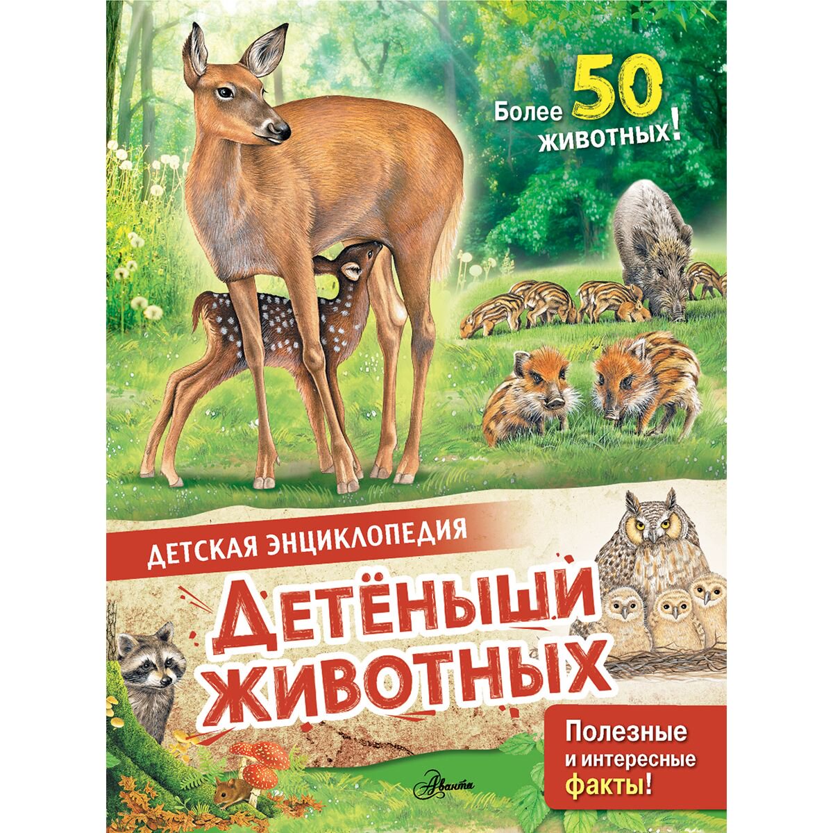 Энциклопедии МакРей Э.: Детеныши животных купить,NaN