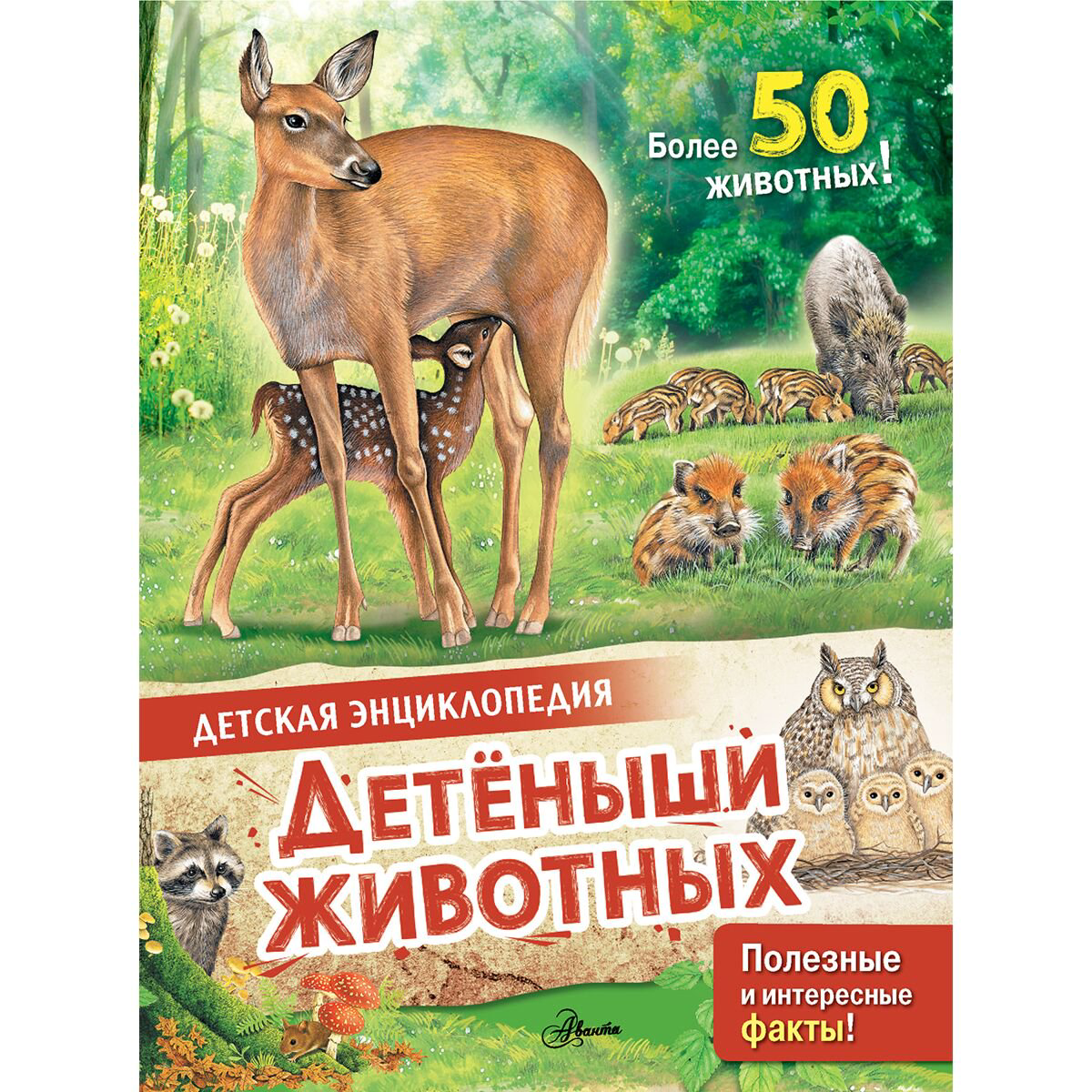 Энциклопедии МакРей Э.: Детеныши животных купить,NaN