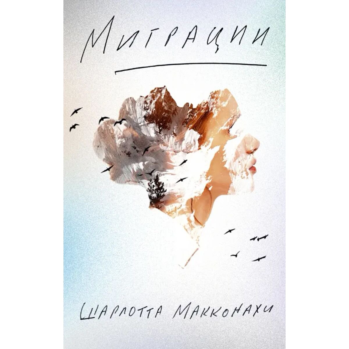 Современная мировая проза Макконахи Ш.: Миграции купить,NaN