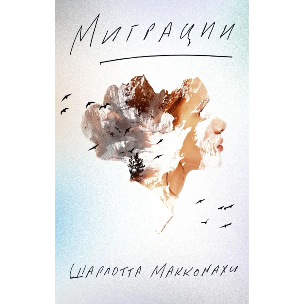 Современная мировая проза Макконахи Ш.: Миграции купить,NaN
