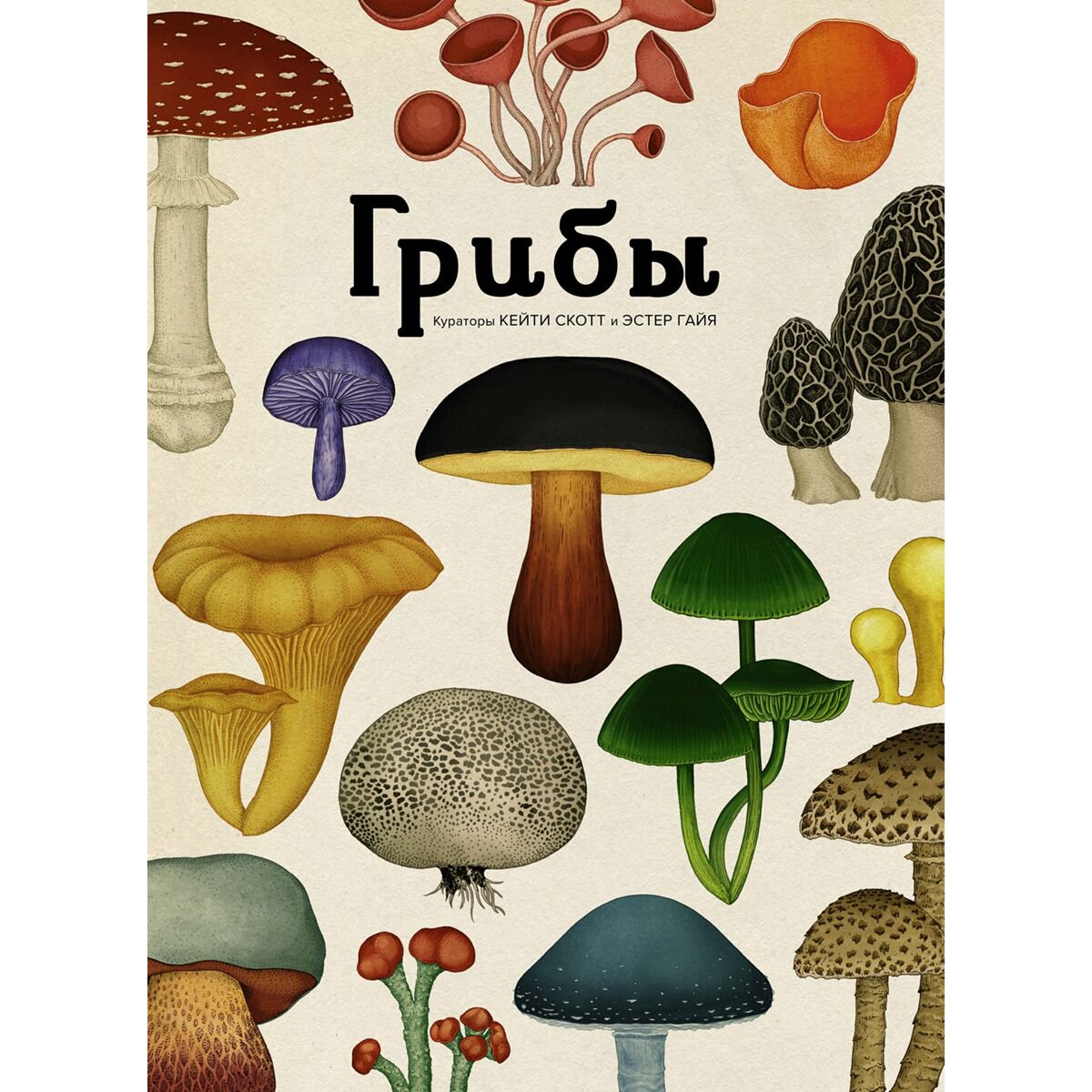 Энциклопедия Хоксворт Д. Грибы купить,NaN