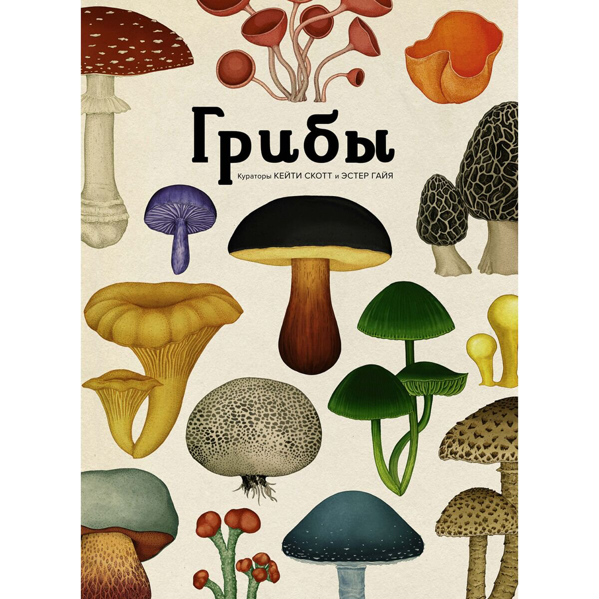Энциклопедия Хоксворт Д. Грибы купить,NaN