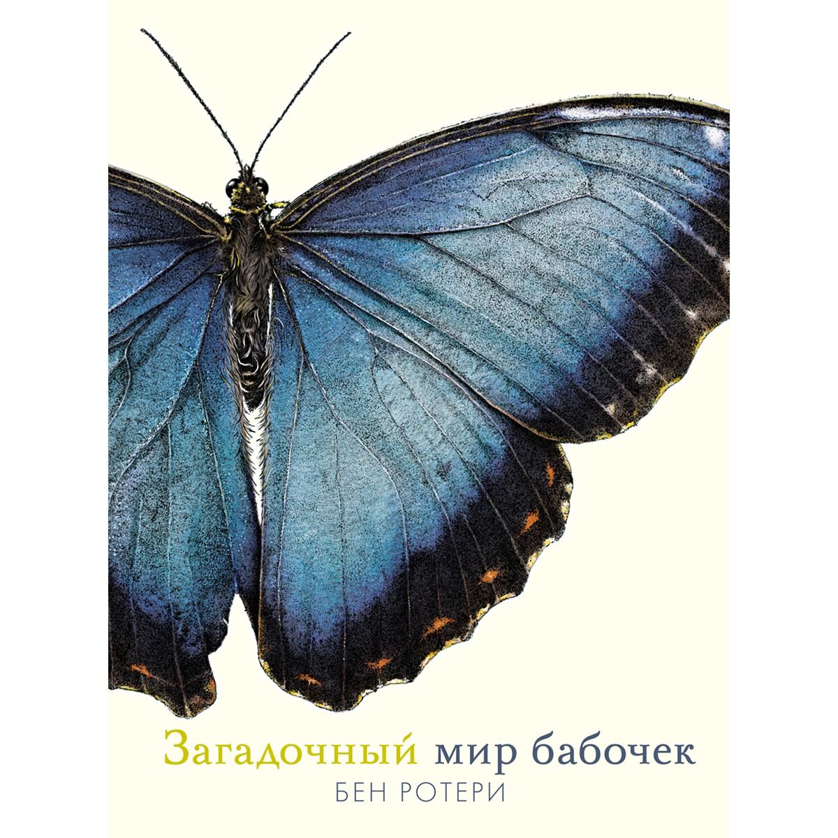 Энциклопедия Ротери Б. Загадочный мир бабочек купить,NaN