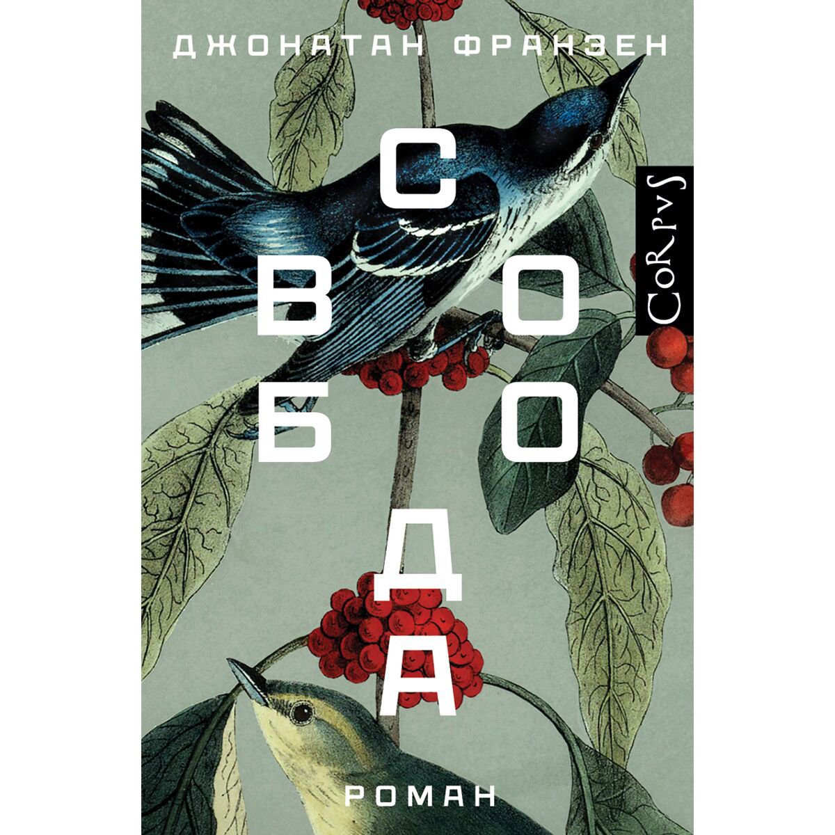 Современная мировая проза Франзен Дж. Свобода купить,NaN