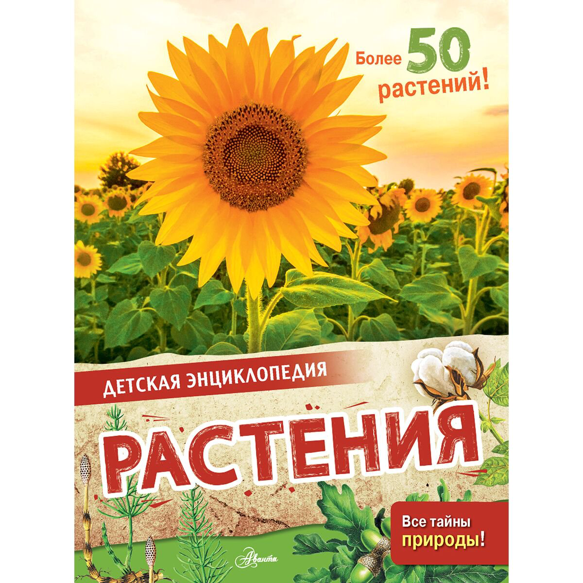 Энциклопедии МакРей Э.: Растения купить,NaN