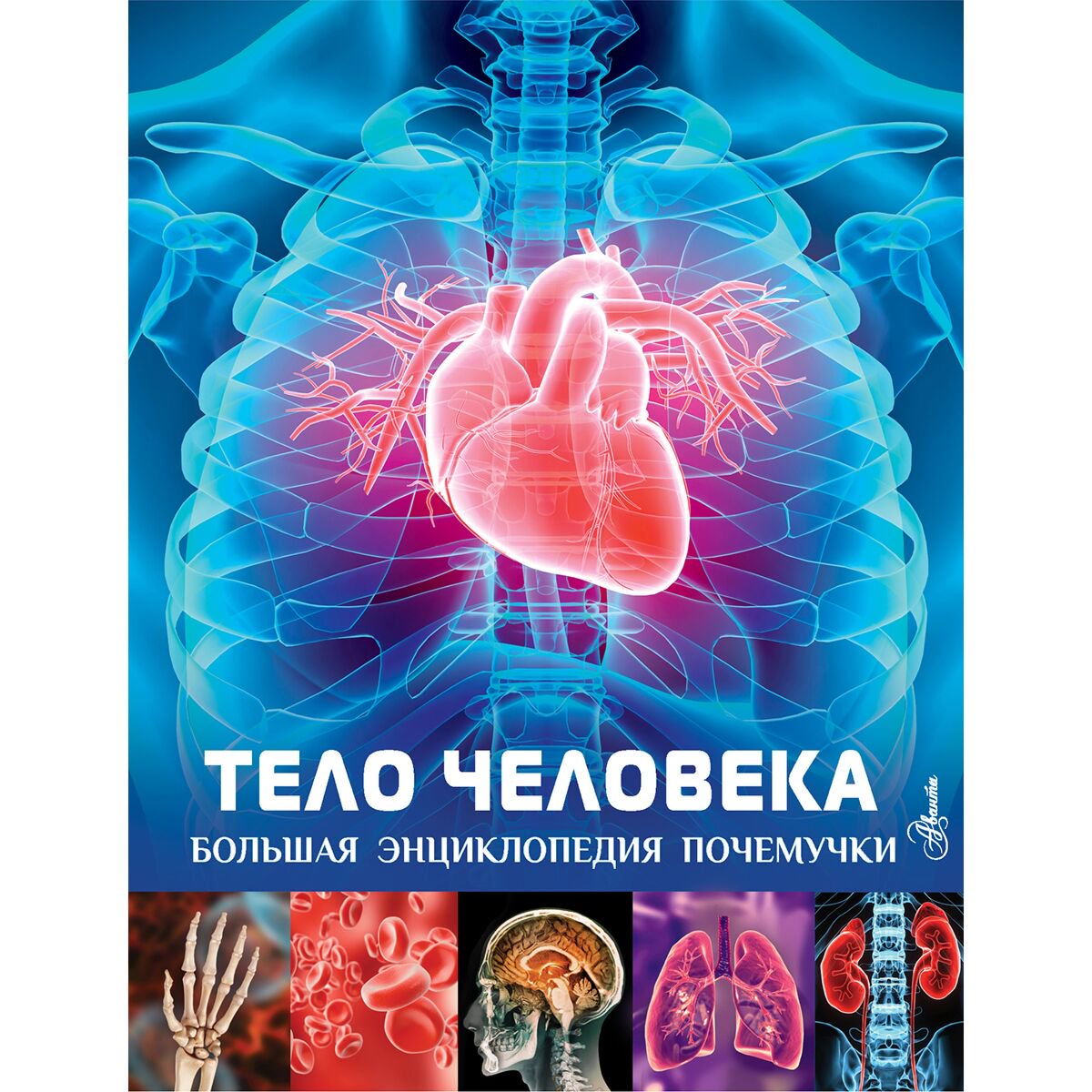 Энциклопедия Хибберт К. Тело человека купить,NaN