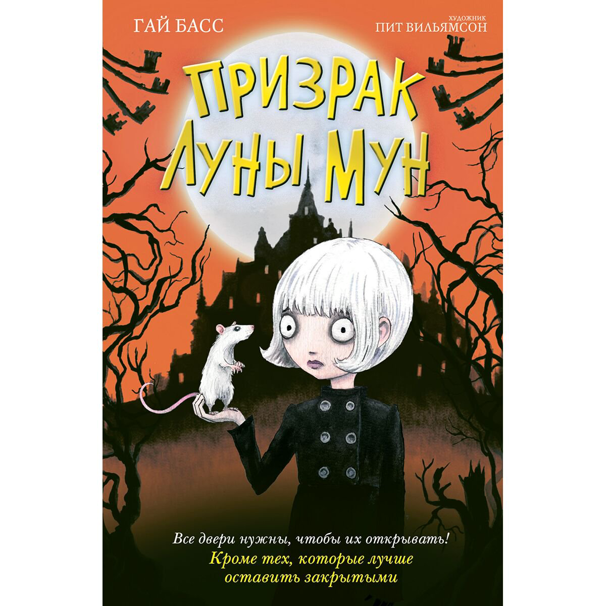Детская литература Басс Г.: Призрак Луны Мун купить,NaN