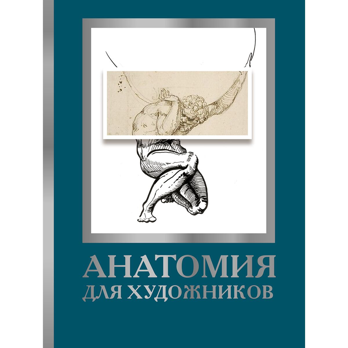 Рисование Крауч Дж. Анатомия для художников купить,NaN