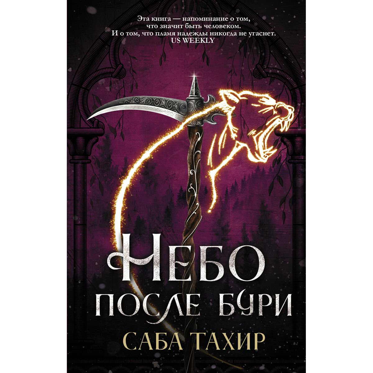 Young adult Тахир С. Небо после бури купить,NaN