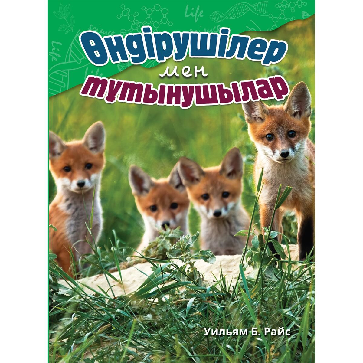 Энциклопедия Райс У. Б. Өндірушілер мен тұтынушылар купить,NaN
