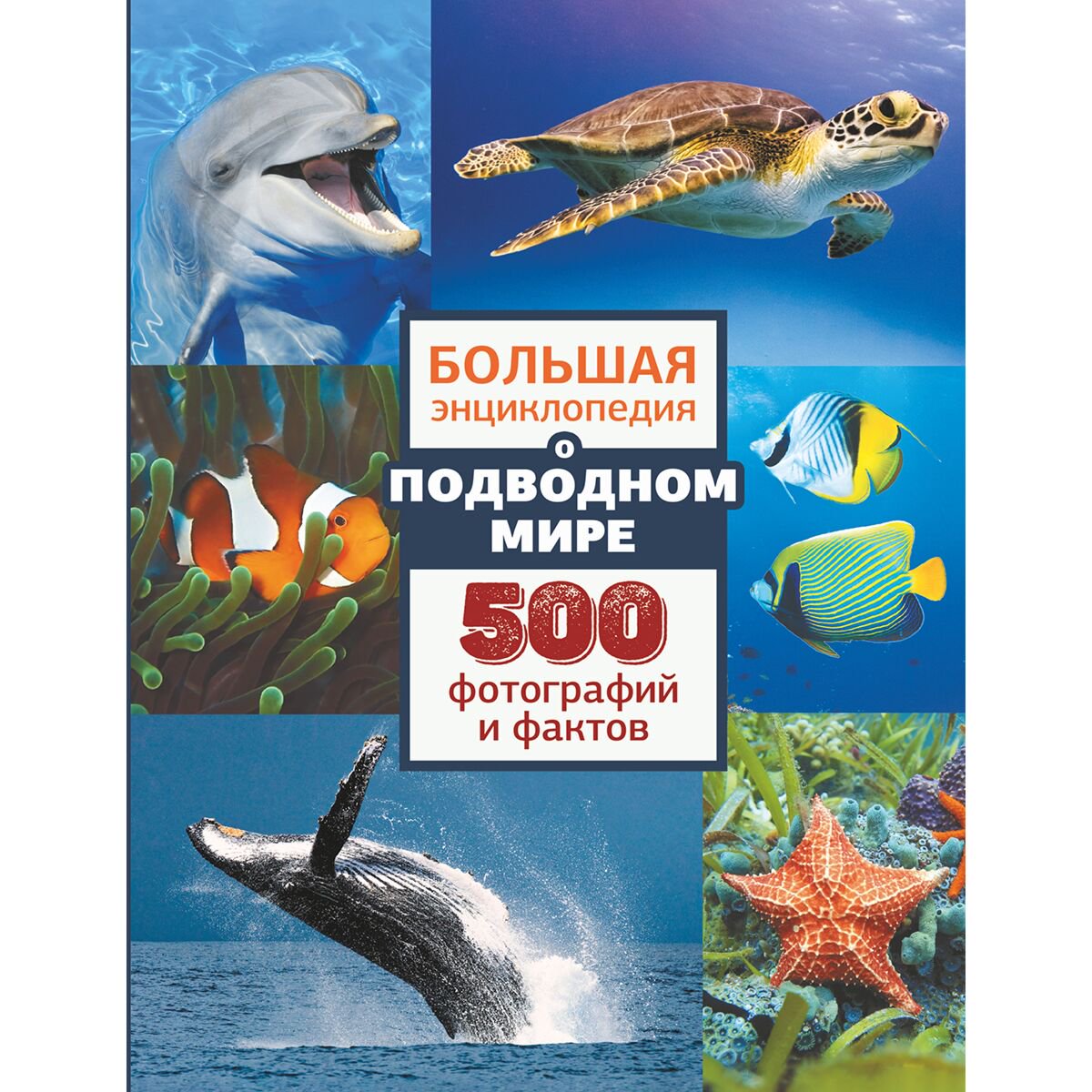 Энциклопедия Большая энциклопедия о подводном мире. 500 фотографий и фактов купить,NaN